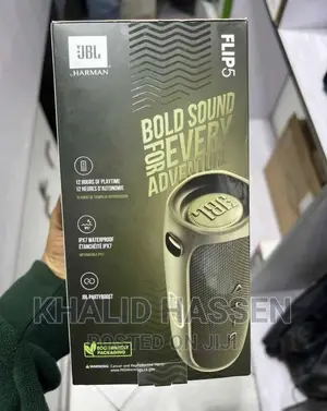 Original JBL Flip 6