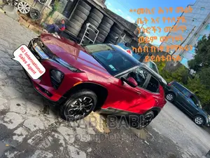 Chevrolet Trailblazer 2021 Burgundy