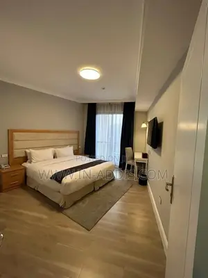 Furnished 1bdrm Apartment in Bole for rent