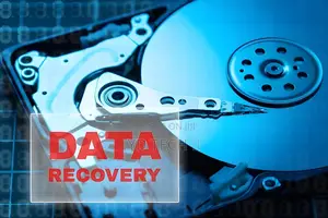 Data Recovery IT Services