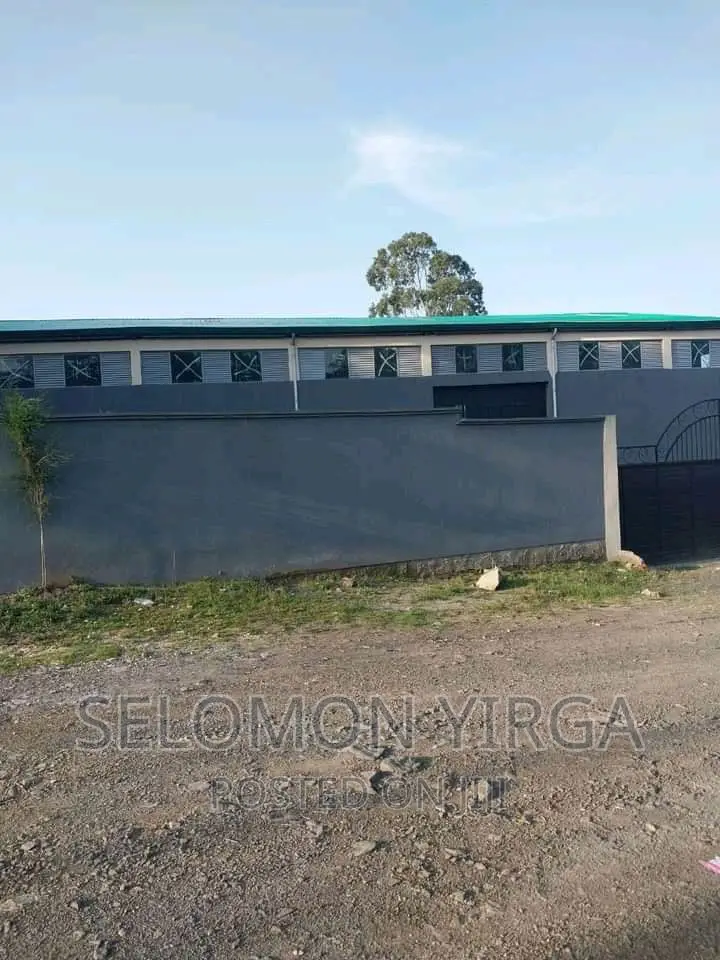የክራይ መጋዘን ነዉ