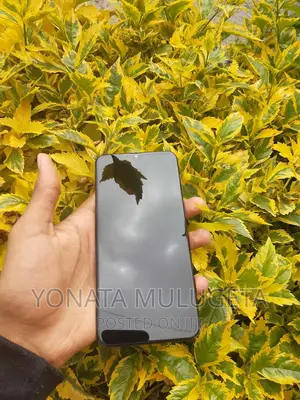 Samsung Galaxy A20 32 GB Black