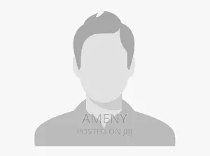 Prossional Website Developer