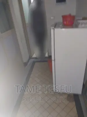 Furnished 2bdrm House in Yeka Kotobe for sale
