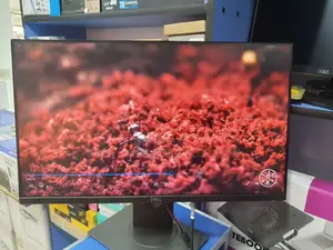 Dell 24 Inch Frame Less Monitor