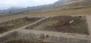 Ye Mehaber Bota 140 Kare