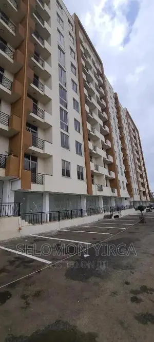 3bdrm Apartment in Adids Abba, Yeka for sale