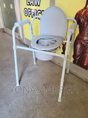 Toilet Potty Chair: A Convenient Solution for Versatile Use"