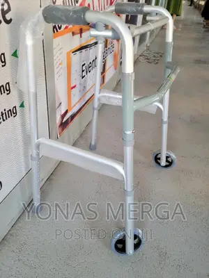 Walker_walker- This Walker Transforms With Minimal Effort,