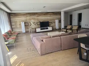 Furnished 3bdrm Penthouse in Addis Abeba, Bole for rent