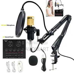 Original Condenser Microphone