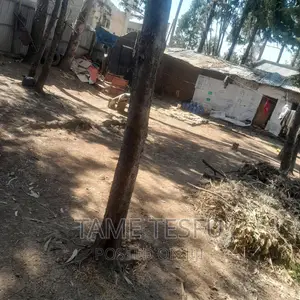 Furnished 1bdrm House in Yeka Kotobe for sale
