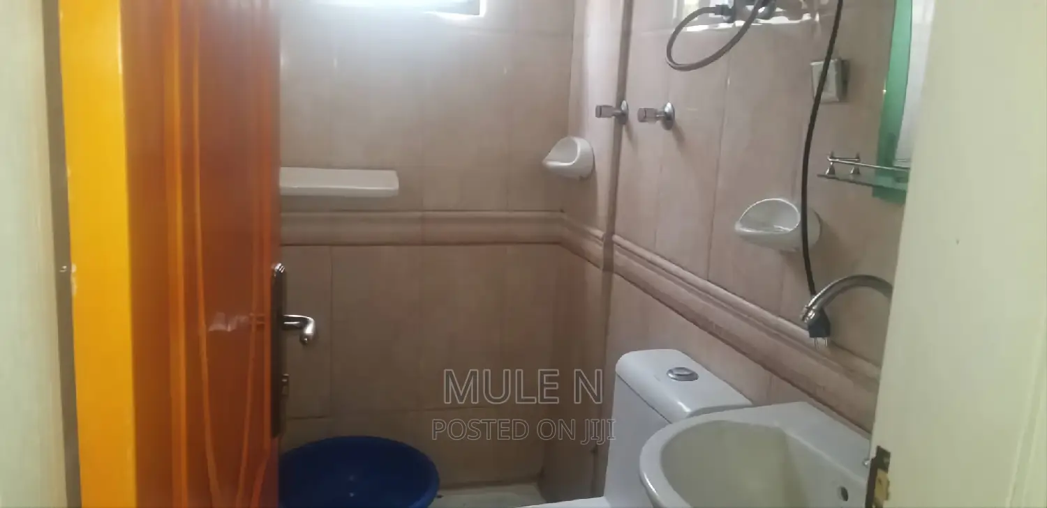 Furnished 1bdrm Condo in Gotera Condominium, Kirkos for sale