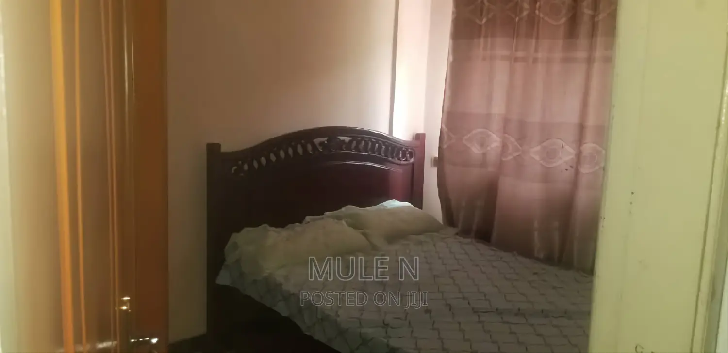 Furnished 1bdrm Condo in Gotera Condominium, Kirkos for sale