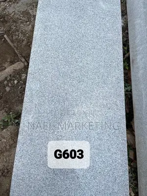 603 40*40 Tiles 1cm