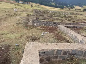 140 Kare Yemehaber Bota Alemgena Kemteri Liyu Simu Garabolo