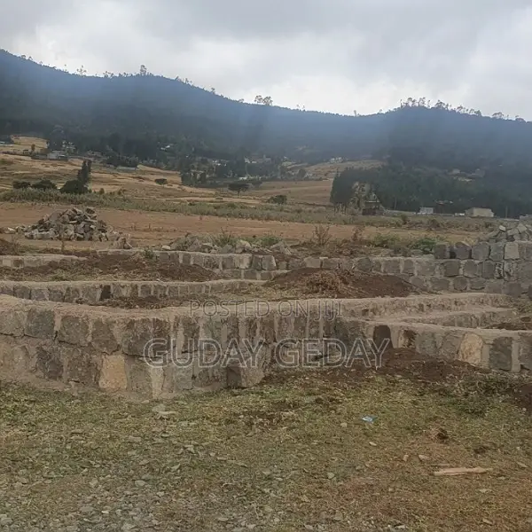 140 Kare Yemehaber Bota Alemgena Kemteri Liyu Simu Garabolo