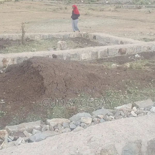 140 Kare Yemehaber Bota Alemgena Kemteri Liyu Simu Garabolo