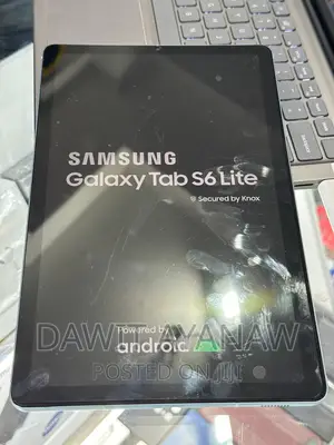 New Samsung Galaxy Tab S6 Lite 64 GB Silver
