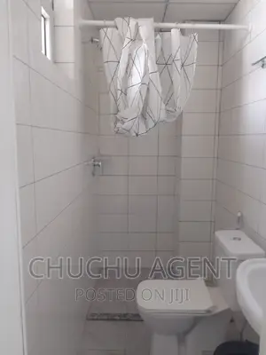 Furnished 3bdrm Apartment in Bole for rent