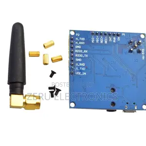 GSM/GPRS Module