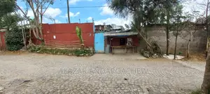 Mnoria Ebt
