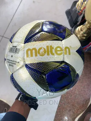 Molten Premium  Balls