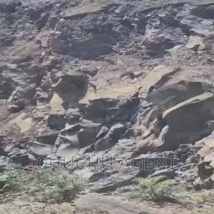 Charcoal Site Sale ድንጋይ ከሰል ማምረቻ ቦታ ሽያጭ Crashers Land Sale