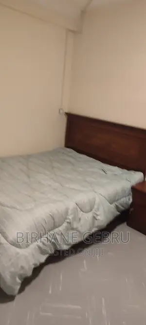 Furnished 3bdrm Apartment in Apartiment, Bole for rent