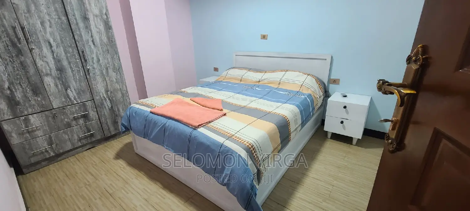 Furnished 1bdrm Apartment in Adis Ababa, Bole for rent