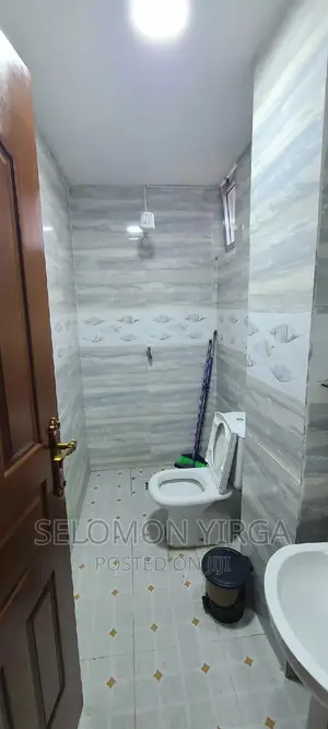 Furnished 1bdrm Apartment in Adis Ababa, Bole for rent