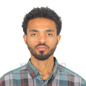 Driver in Addis