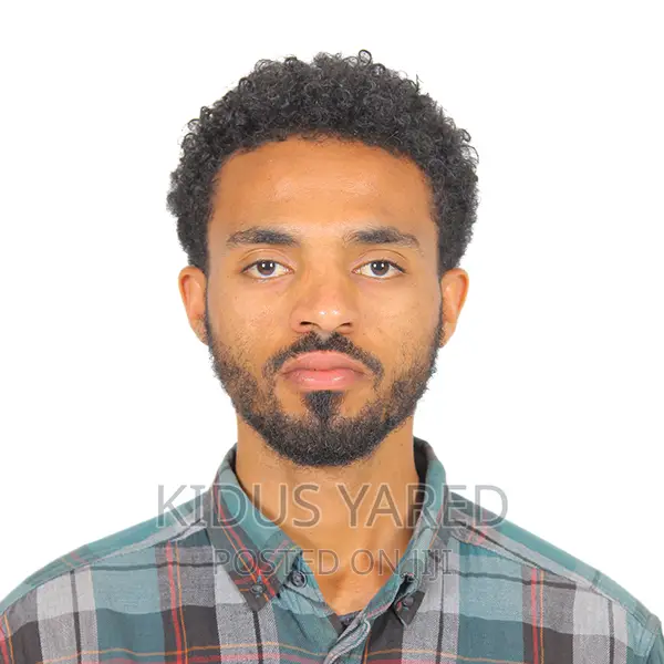 Driver in Addis
