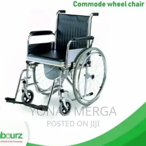 Popo Wheelchair Flip-Up Armrest Detachable Footrest Standዊል