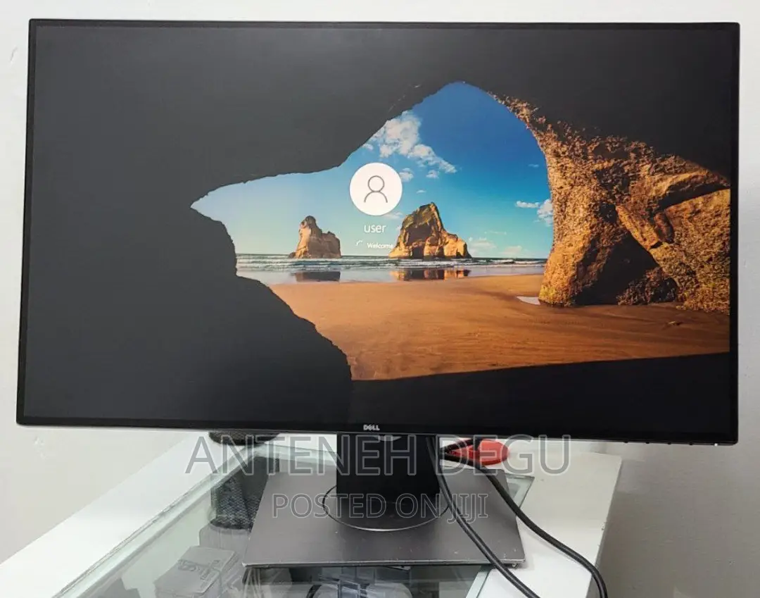 Dell Moniter