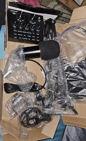 Professional Condenser Microphone With Stand