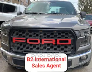 Ford F-150 2017 Gray