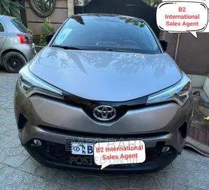 Toyota C-HR 2019 Pearl