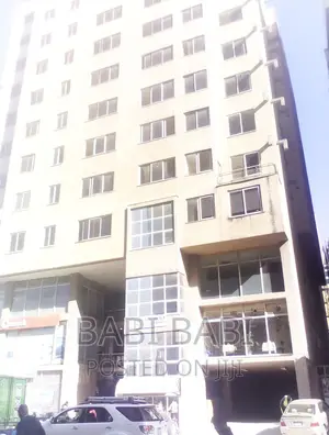 B+2+g+10 የንግድ እና አፓርትመንት ሕንፃ ሽያጭ