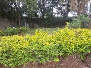23,295M2 ለሽያጭ የቀረበ ቦታ አቃቂ አካባቢ (Land For Sale)