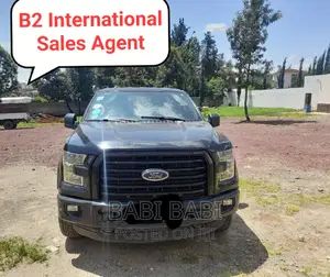 Ford F-150 2017 Matt Black