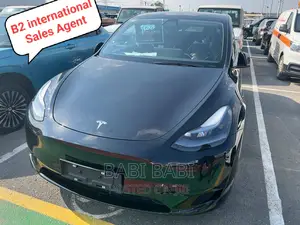 New Tesla Model Y 2023 Matt Black