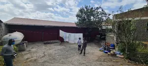Yemikeryi Megazen