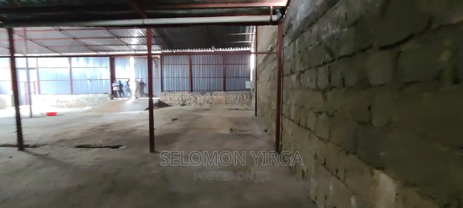 Yemikeryi Megazen