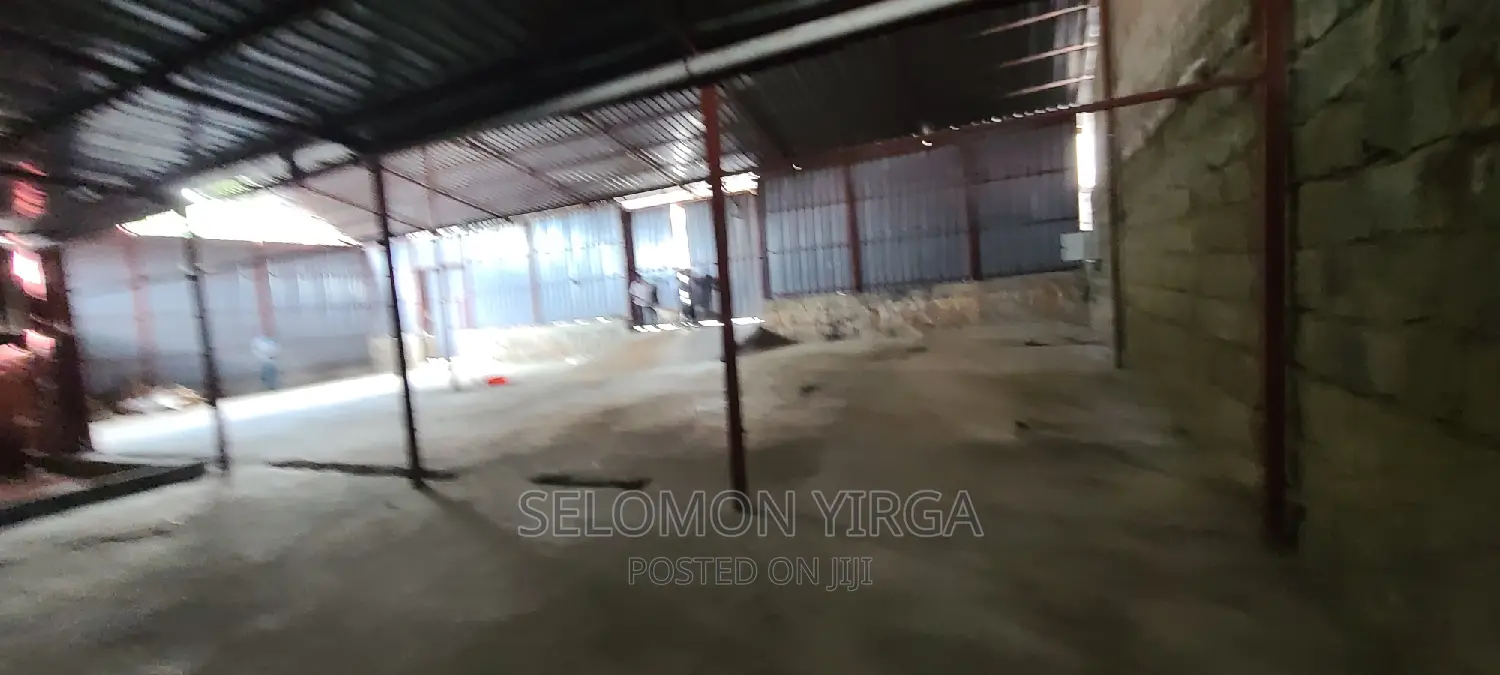 Yemikeryi Megazen