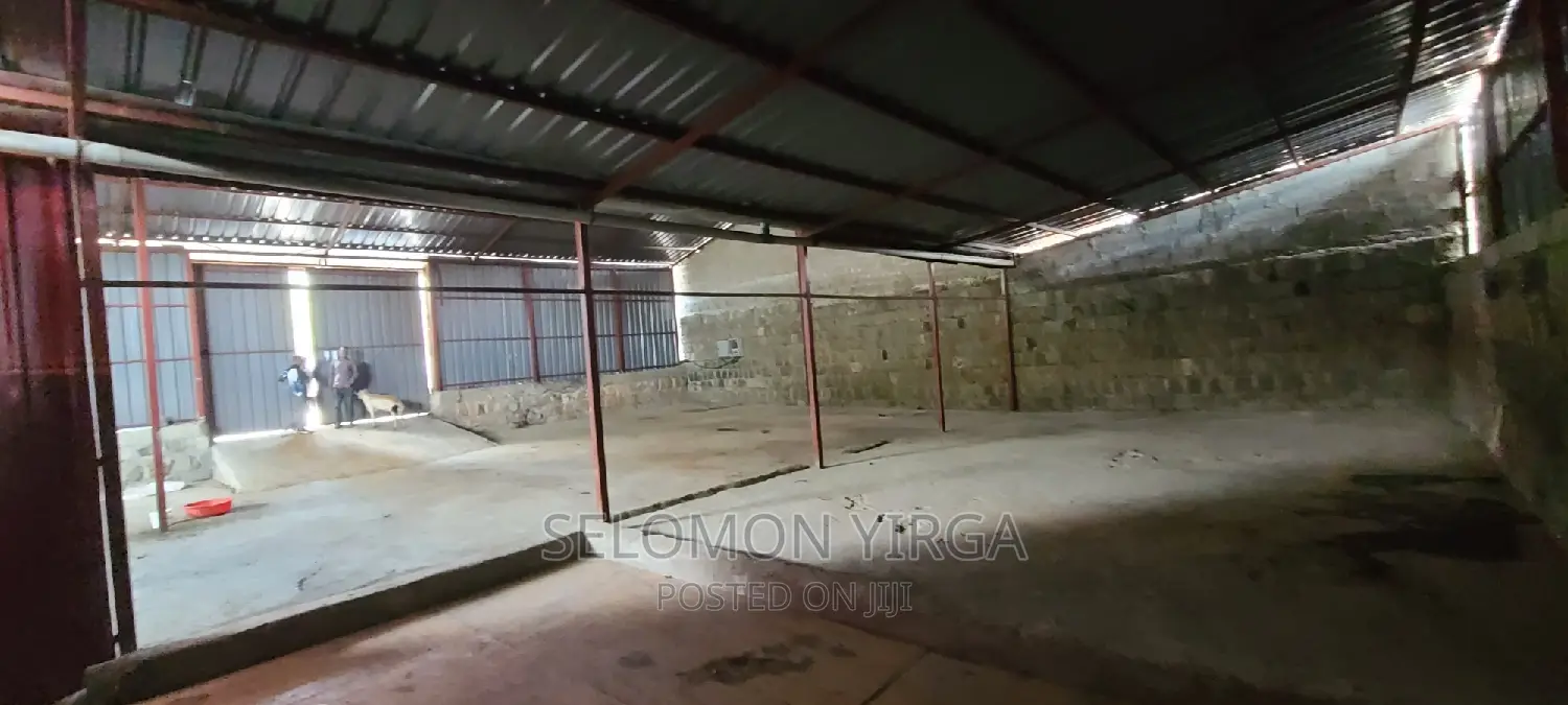 Yemikeryi Megazen
