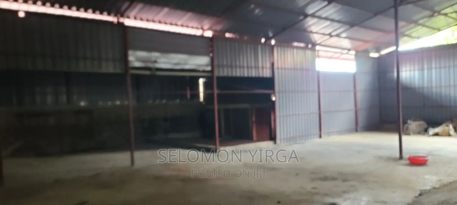 Yemikeryi Megazen