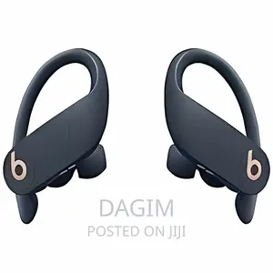 Beats Powerbeats Pro Wireless Earbuds