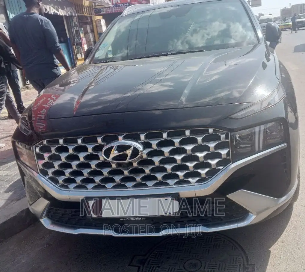 Hyundai Santa Fe 2023 Gray