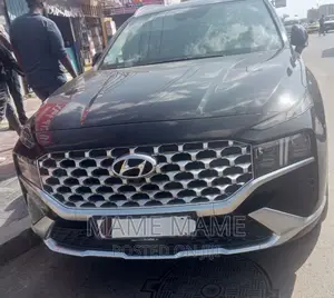 Hyundai Santa Fe 2023 Gray
